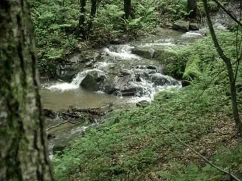 Вілла Kuca Za Odmor"Miran San" Podgaric Екстер'єр фото